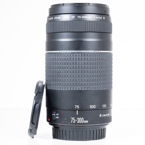 Canon 300mm 5 6 - 75-300mm, iii