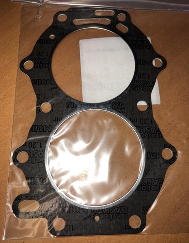 Cylinder head gasket johnson - head,