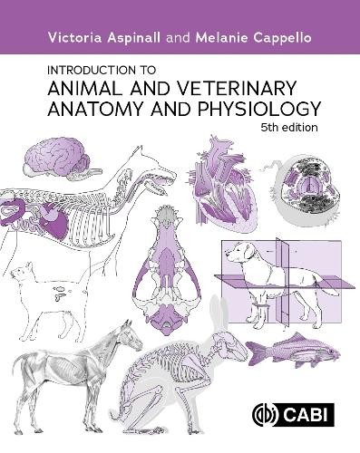 Introduction animal and - to,