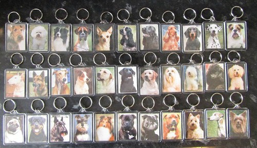 Dog breed key rings quality - dog,