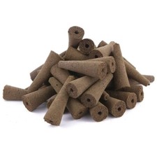 Growing Sponge Seed Starter 12