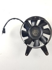 Fan 17 YAMAHA FZS 600 FAZER