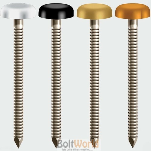 Plastic headed top steel nails - plastic,