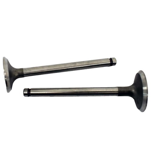 Engine valve pair - engine, honda