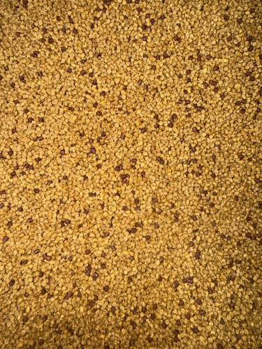 10kg 2mm micro bloodworm - 2mm,