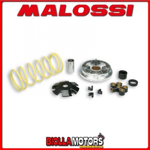 517081 variator malossi - variator,