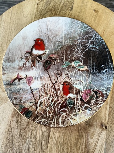Coalport bone china robin - coalport,