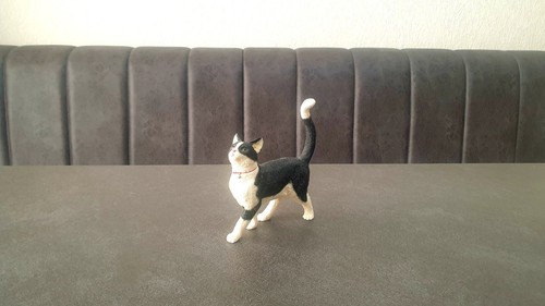 Black and white cat - black,