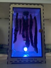 Biltong Box, Fan & Lamp Edition, Family Biltong / Droewors Maker,  Dehydrator