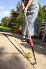 Darlac Telescopic Weed Knife