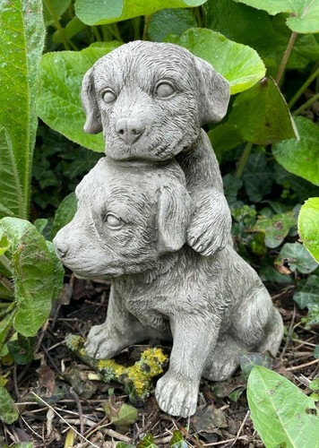 Pair puppies stone - pair,