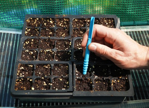 Little dibby seed sowing tool - sowing,