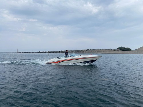 Arriva 2450 bow rider - arriva, v8