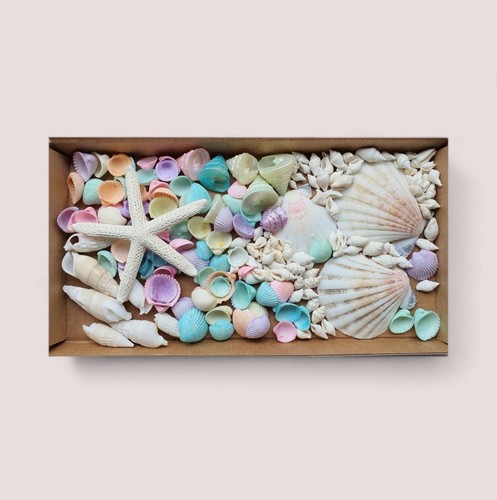 Mixed shell pastel colour - shell,