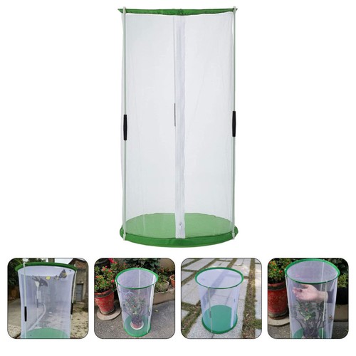 Transparent butterflies - transparent,