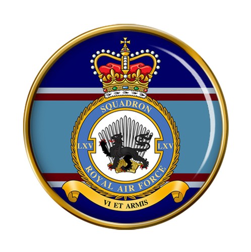 Squadron raf pin - squadron,, badge
