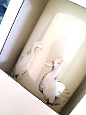 2 X BOXED LAURA ASHLEY DUCKS