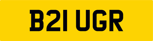 Burger reg number - number, b21