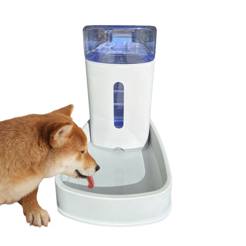 Dog cat water - ,