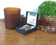 3 x 100% Genuine Dinosaur Bone