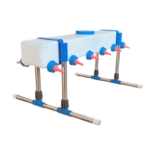 Lamb milk feeder calf - lamb,