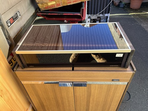 Salton hot tray - tray, /