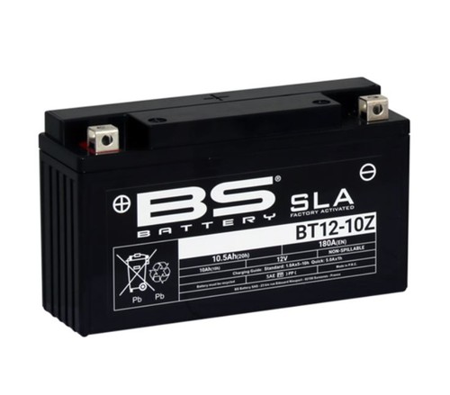 Bt12 10z maintenance free bs - ,