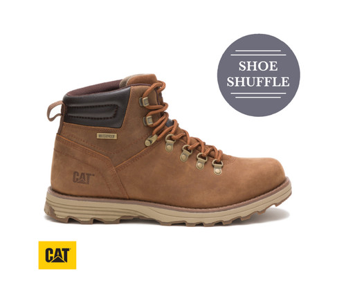 Caterpillar sire - (cats),