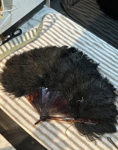 Vintage ostrich feather - feather, hand