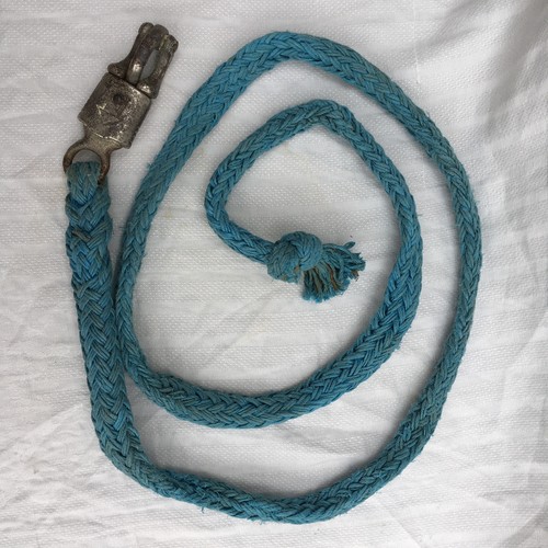 Blue horse lead rein rope