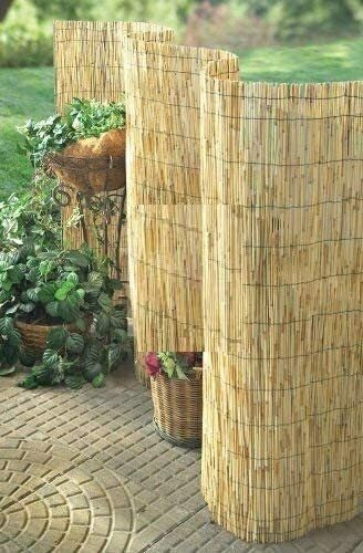 Natural peeled reed - natural, screening