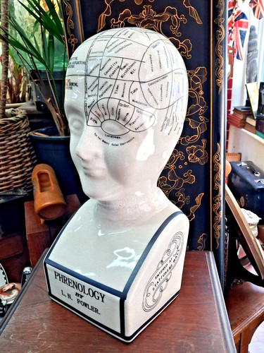 Phrenology head fowler - phrenology, /