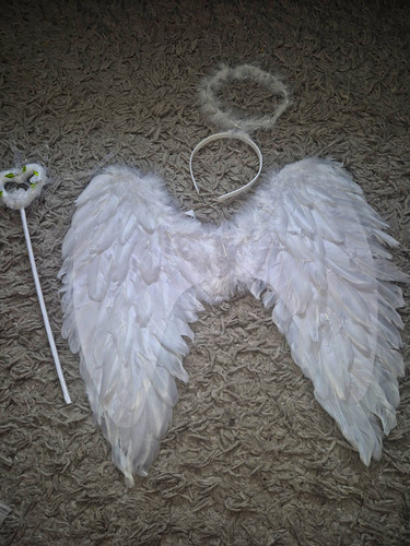 White feather angel wings with - white,