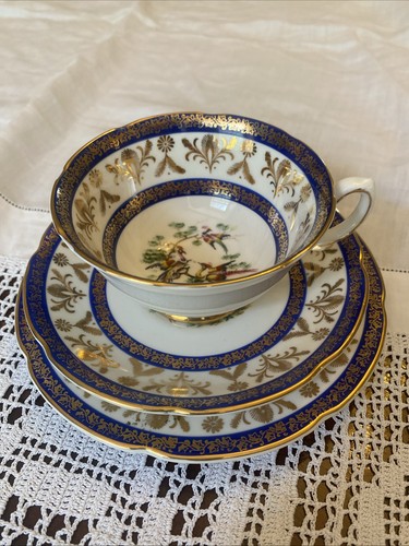 Pretty royal grafton - pretty,