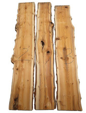 1x Yew Burl Wood Yew Wood Wild