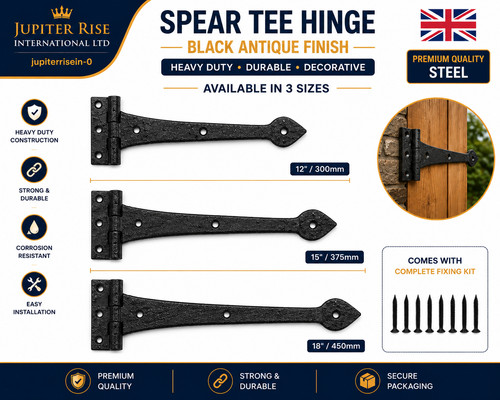Black antique spear - spear, tee