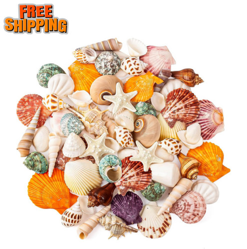 7 mixed ocean - 1.2"-2.7",