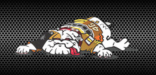 Guido the dog decal MotoGP