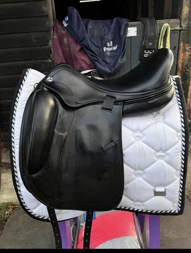 Prestige free dressage - prestige,