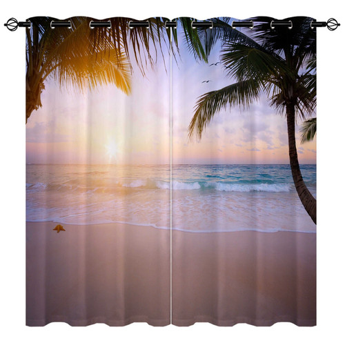Palm tree tropical - &, beach