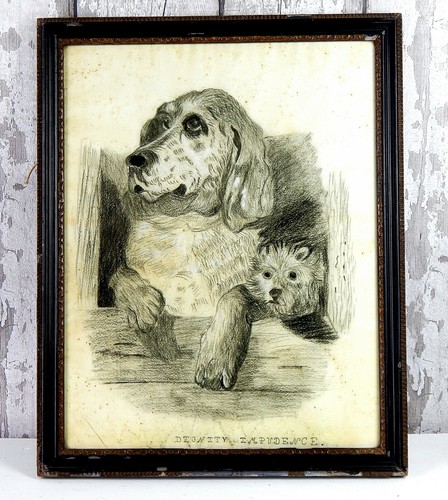 Antique victorian sketch dogs - antique,