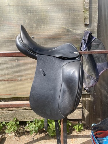 Harry dabbs dressage - harry,