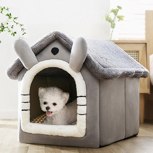 Pet cat kitten dog house - pet,