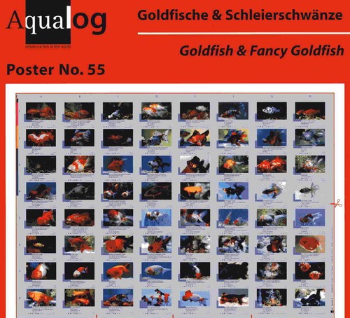 Aqualog poster goldfish - aqualog,