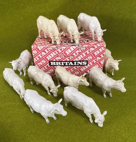 Britains charolais cows farm - britains,