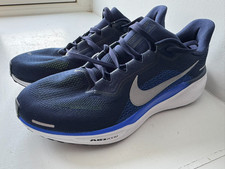 Nike Air Zoom Pegasus 41 Mens