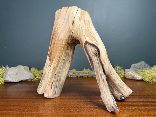 Manzanita driftwood - 12”,
