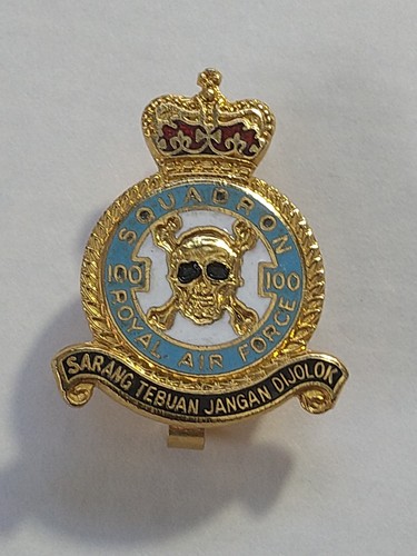 Raf 100 squadron pin - raf,