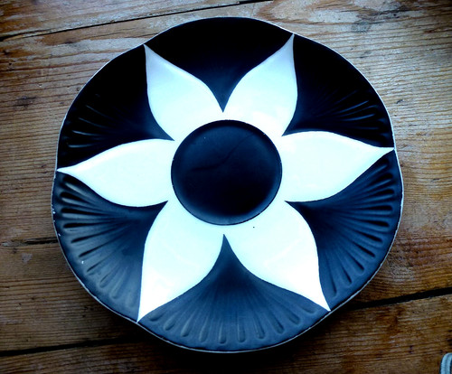 Shelley harlequin rare dainty - harlequin,