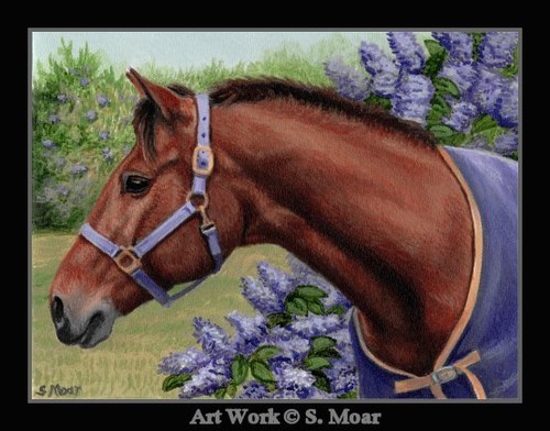Chestnut horse halter lilacs - chestnut,